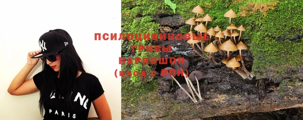 сатива Вязники