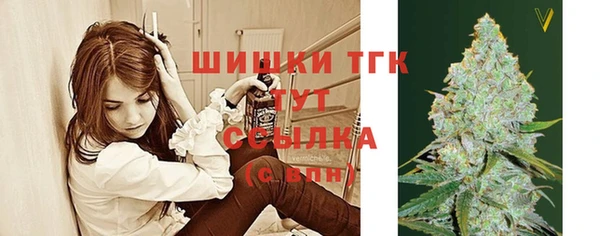 сатива Вязники