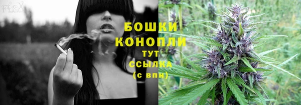 сатива Вязники