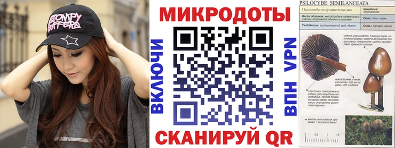 Псилоцибиновые грибы Psilocybine cubensis  shop Telegram  Грязи 