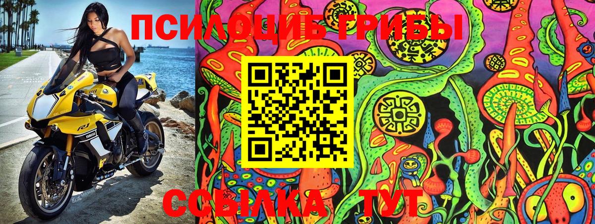 Галлюциногенные грибы MAGIC MUSHROOMS Грязи
