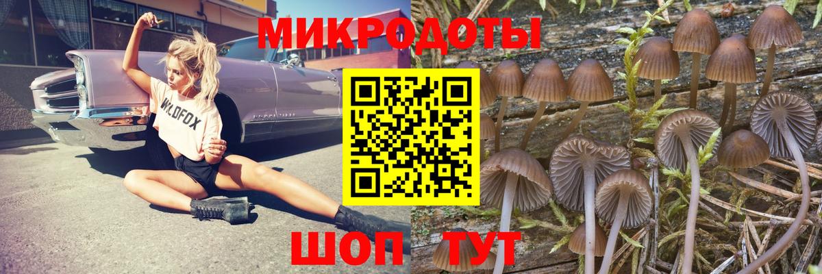 цены   Псилоцибиновые грибы MAGIC MUSHROOMS  Вход с VPN  Грязи 